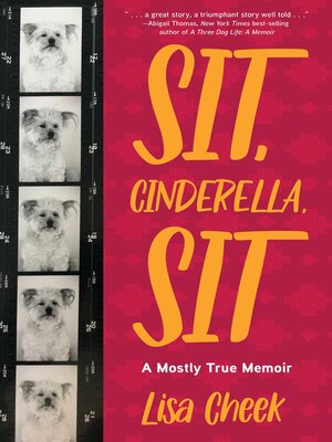Sit, Cinderella, Sit - ebook